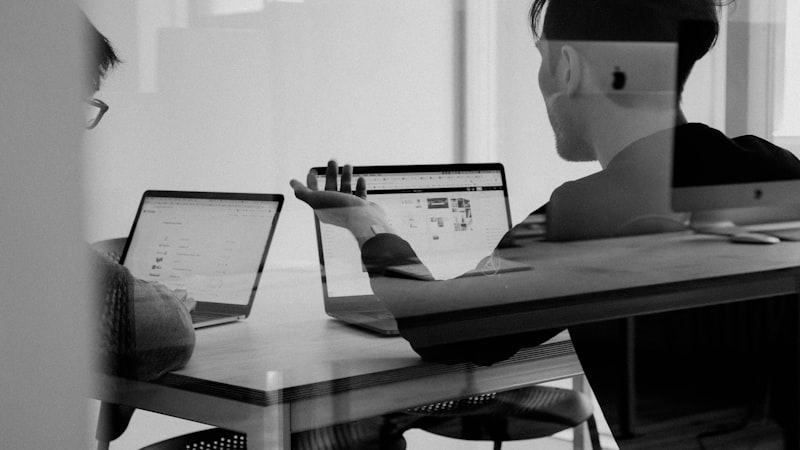 Software Outsourcing in Vietnam: Competitive Advantages