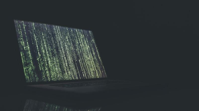 Zero-Knowledge Proofs: Security and Privacy